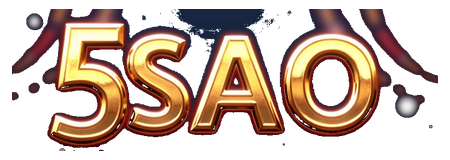 5sao logo
